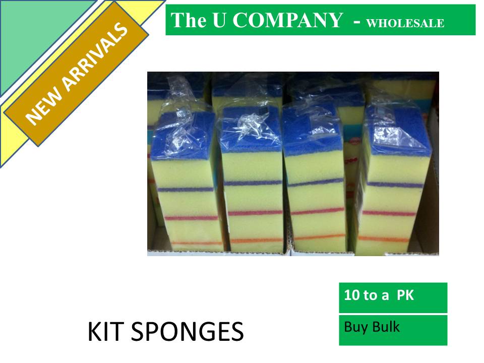 KIT SPONGES